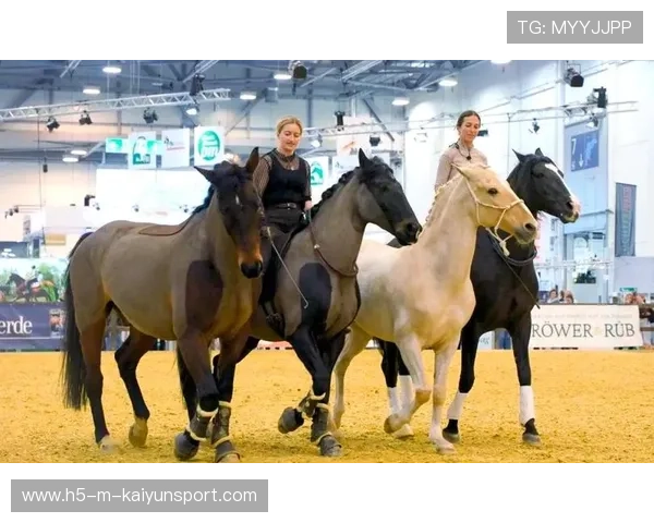 荷兰马术协会与德国马术协会建立战略合作伙伴关系，共同推动马术文化发展。