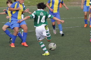 开云在线登入-上海申花再遭柔佛新山逆转，1-3失利痛失连胜机会